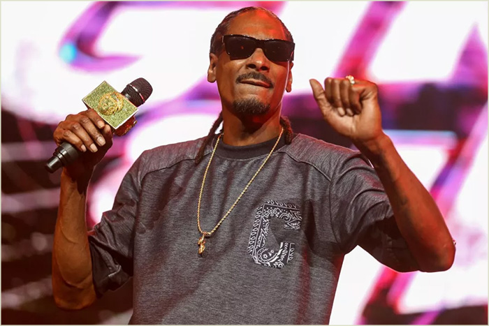周刊 | Snoop Dogg将推出NFT品牌；资产管理公司Amundi或将投资NFT；维多利亚的秘密将入局NFT？